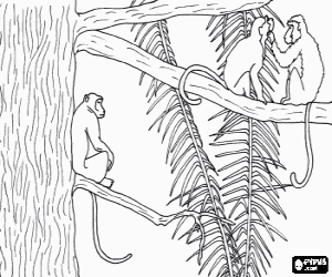 Coloriage Groupe de singes de longues colles sur les branches d'un arbre