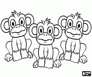 Coloriage Groupe de trois petits singes avec les yeux et les oreilles grands ouverts