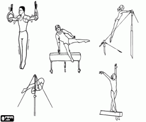 Coloriage Gymnastique artistique - Anneaux, cheval d'ar�ons, barres asym�triques, barre fixe et poutre