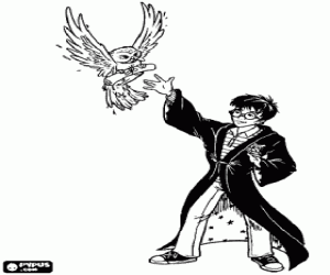 Coloriage Harry Potter a sa premi�re rencontre avec le monde magique o� il re�oit la lettre de l'�cole Poudlard de Magie et Sorcellerie, rendu par un hibou