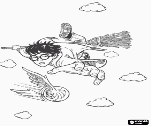 Coloriage Harry Potter jouant Quidditch avec son balai magique comme un chasseur en essayant d'attraper la balle