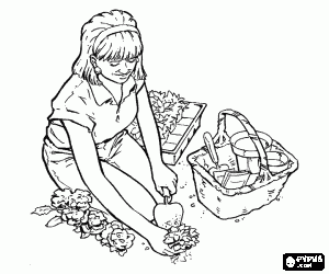 Coloriage Jardini�re � le plantation fleurs p�pini�riste dans le jardin
