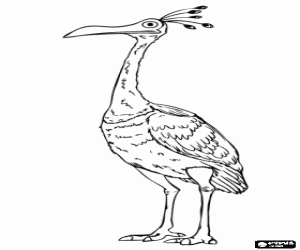 Coloriage Kevin, un grand oiseau tropical