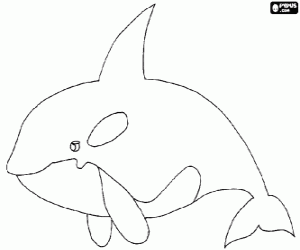 Coloriage  L'orque ou �paulard, le plus gros animal de la famille des dauphins