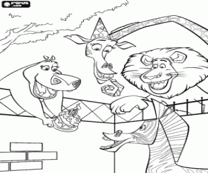 Coloriage La f�te d'anniversaire surprise pour Marty, le z�bre, avec des amis Gloria l'hippopotame, Melman la girafe et Alex le Lion