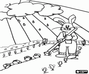 Coloriage Lapin en cultivant v�g�taux dans son verger sous le soleil et la pluie