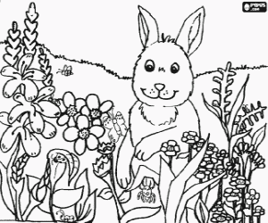 Coloriage Lapin entre les fleurs et les insectes sur le terrain au printemps
