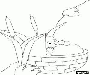 Coloriage Le b�b� dans son petit panier Mosier �chou�s sur les rives du Nil