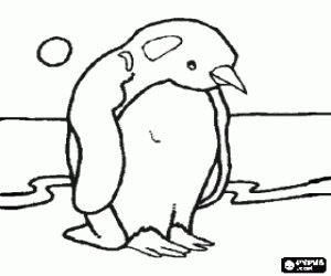 Coloriage Manchot ou pingouin sur la neige dans l'Antartique