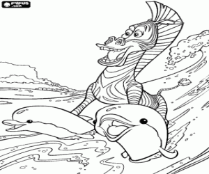 Coloriage Marty le z�bre surfant avec l'aide de dauphins