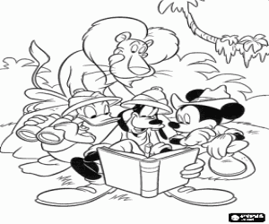 Coloriage Mickey et ses amis Donald e Goofy dans la jungle avec un lion derri�re