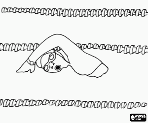 Coloriage Nageur pratiquant la nage libre ou crawl dans la voie d'une piscine de comp�tition