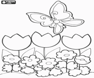 Coloriage Papillon survolant un champ de fleurs