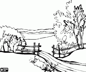 Coloriage Paysage avec des arbres, un chemin et d'une cl�ture en bois