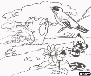Coloriage Paysage du printemps avec une maison, un arbre, un oiseau chanteur, un papillon et une fleur