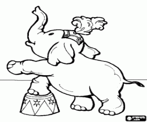 Coloriage Petit �l�phant au cirque