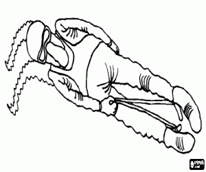 Coloriage Pilote de luge de course