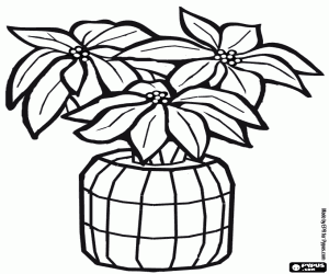 Coloriage Poinsettia, la fleur de No�l dans un vase avec des d�corations de No�l