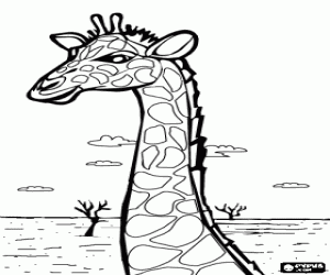 Coloriage Portrait de la  t�te d'une girafe belle