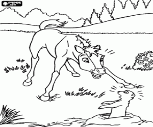 Coloriage Poulain surpris de rencontrer un chien de prairie en sortant de son terrier