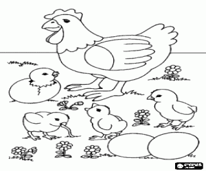 Coloriage Poule avec ses poussins et ses oeufs dans le champ