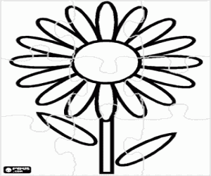 Coloriage Puzzle de Fleur simple - Puzzle de Une p�querette 