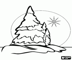 Coloriage Sapins de No�l dans un paysage enneig� et avec l'�toile dans le ciel