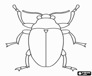 Coloriage Scarab�e ou carabe