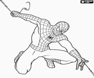 Coloriage Spider Man se d�place de mani�re tr�s rapide et agile par la ville en �tant �quilibr� avec sa toile d'araign�e