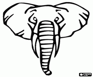 Coloriage T�te d'�l�phant adulte avec ses longues d�fenses 