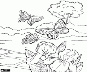 Coloriage Trois papillons qui volent autour du jardin