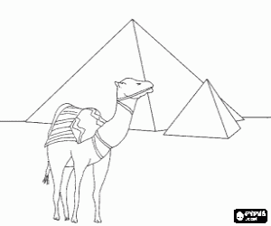 Coloriage Un chameau devant les pyramides, des monuments fun�raires de l'Egypte ancienne