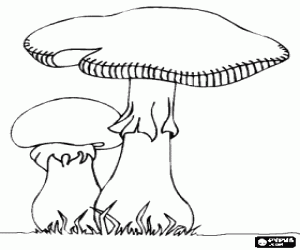 Coloriage Un gros champignon et un peu comme un champignon