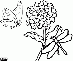 Coloriage Un papillon et une libellule volant au-dessus d'une fleur