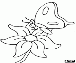Coloriage Un petit papillon sur une fleur