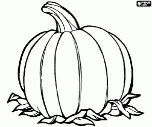 Coloriage Une grande citrouille, le fruit de la plante du potiron originaire d'Am�rique