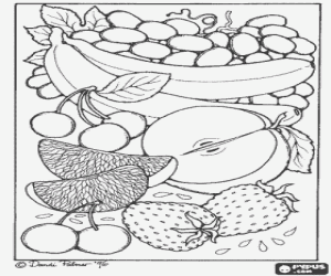Coloriage Vari�t� de fruits: raisins, les bananes, les cerises, la moiti� des pommes, les quartiers d'orange et de fraises