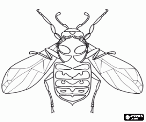 Coloriage Vespa avec des yeux compos�s r�niforme courbe
