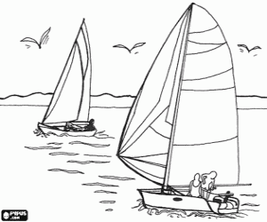 Coloriage Voile - Deux voiliers voileant
