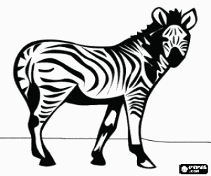 Coloriage Z�bre