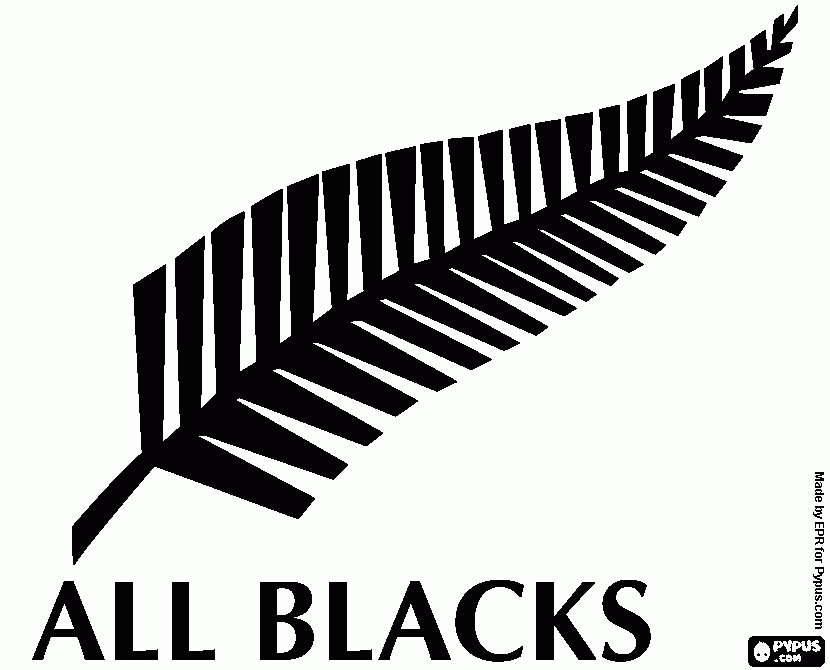 dessin all blacks