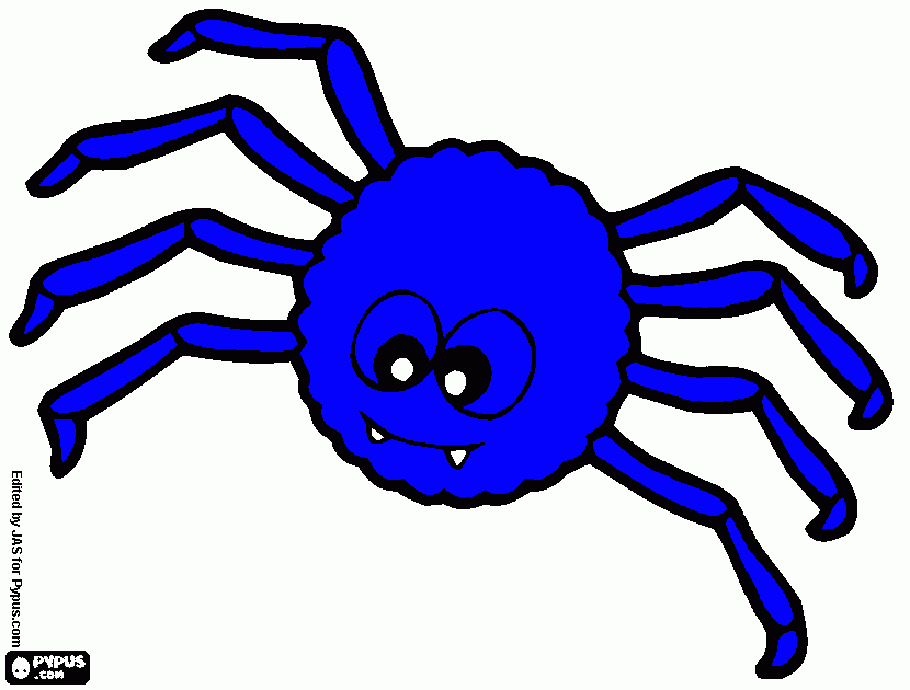 dessin araignée bleue