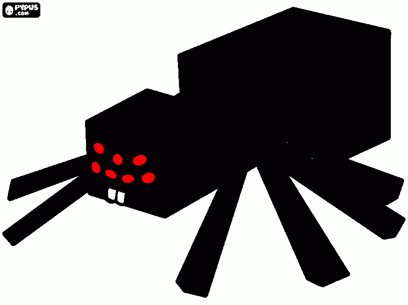 dessin Araignée