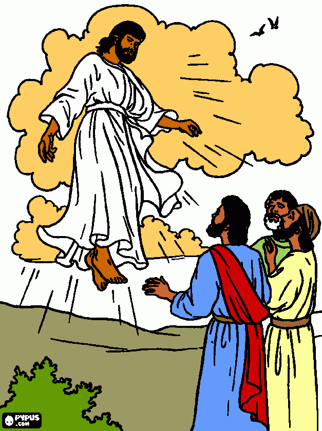 dessin ascension Jésus