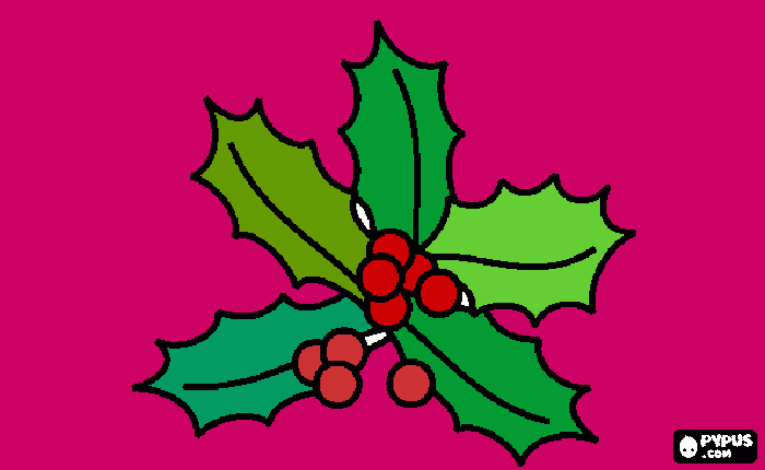 dessin Branches de houx