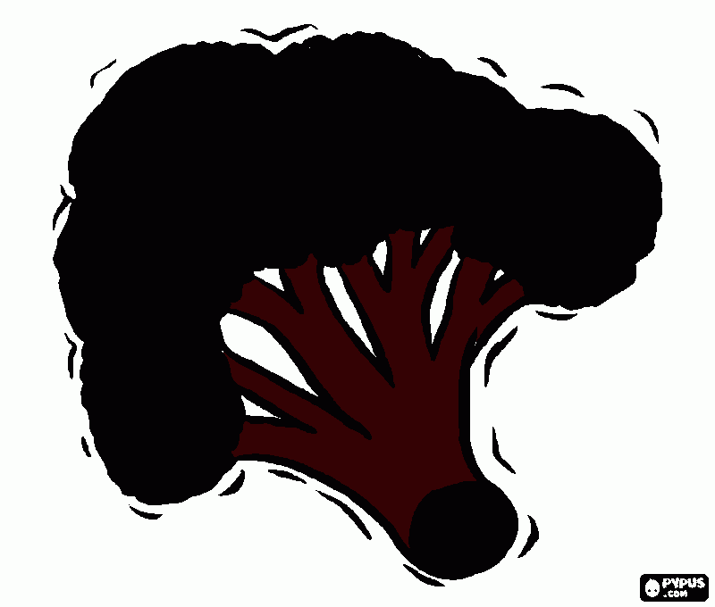 dessin Brocoli