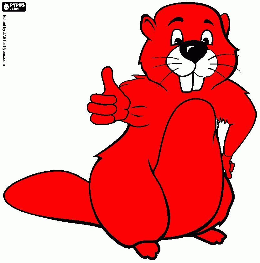 dessin castor rouge