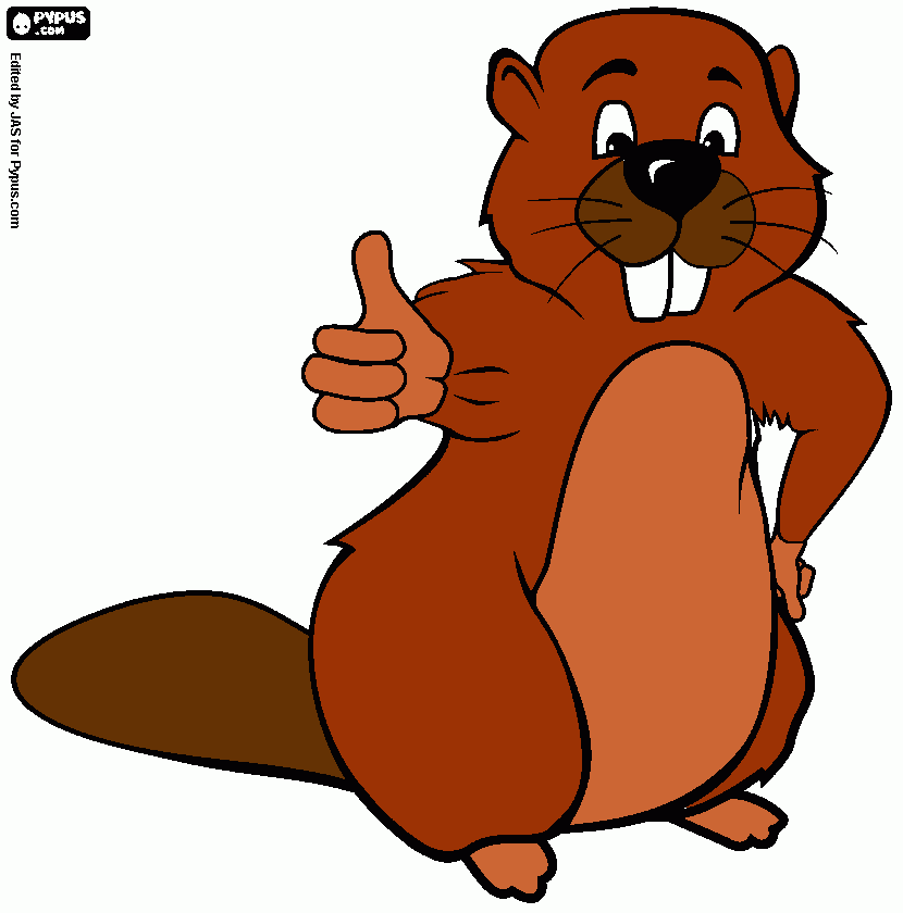 dessin castos brun