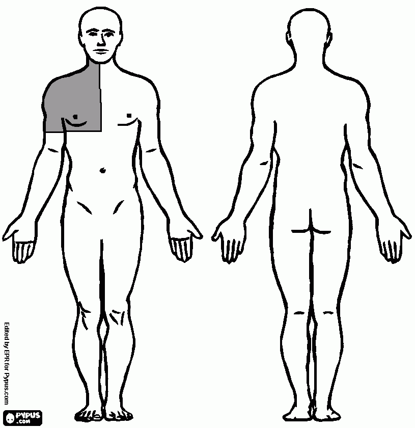 dessin chambre implantable