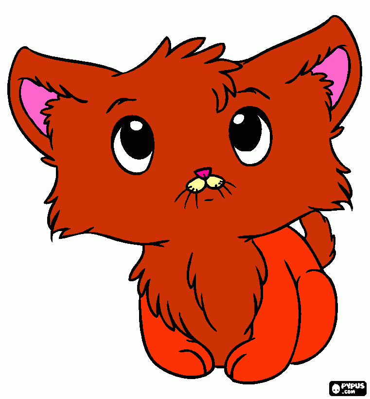 dessin chat mignon